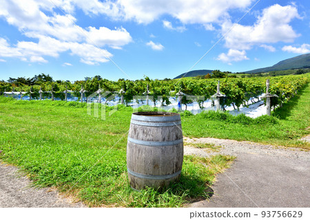 Kuju mountain range and mountain foot winery grape trellis, Kuju, Kuju-cho, Taketa City, Oita Prefecture 93756629