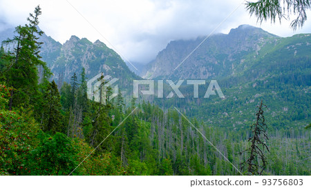 Blue haze in the mountains before the storm. Vysoke Tatry, High Tatras mountain view at Hrebienok, Stary Smokovec, in summer. High Tatras mountain, Slovakia 93756803