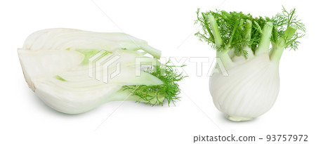 fresh fennel bulb isolated on white background with full depth of field 93757972