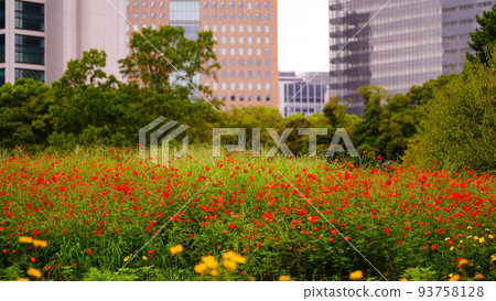濱離宮花園的花園和摩天大樓合作 93758128