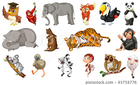 Many wild animals on white background Many wild animals on white background 93758776