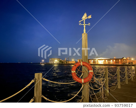 Nishi-Oita Kantankoen night view 93759017