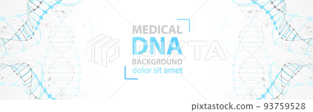 Science template, wallpaper or banner with a DNA molecules. Vector illustration. 93759528