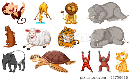 Wild animals on white background 93759616