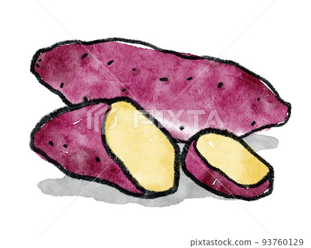 Sweet potato hand drawn illustration set 93760129