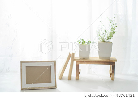 窗邊生長的觀葉植物和相框 93761421