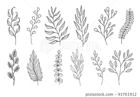 Outline twigs and sprigs floral embellishments. Linear isolated vector plant branches with leaves, monochrome forest herbs, natural elements for design of wedding cards and invitations Outline twigs and sprigs floral embellishments. Linear isolated vector plant branches with leaves, monochrome forest herbs, natural elements for design of wedding cards and invitations 93761912