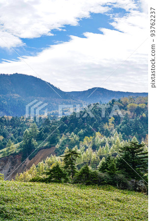 Scenery of Manza Onsen Scenery of Manza Onsen 93762237