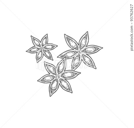 Anise star aroma seasoning isolate spicy condiment monochrome sketch icon. Vector chinese star anise or badian, dried star-shaped pericarp of fruit of Illicium verum. Staranise seeds, aniseed spice 93762627