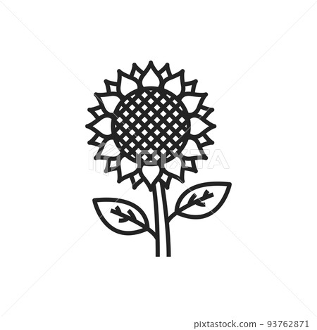 Sunflower isolated monochrome icon. Vector farm flower with seeds and leaves, gardening agriculture 93762871