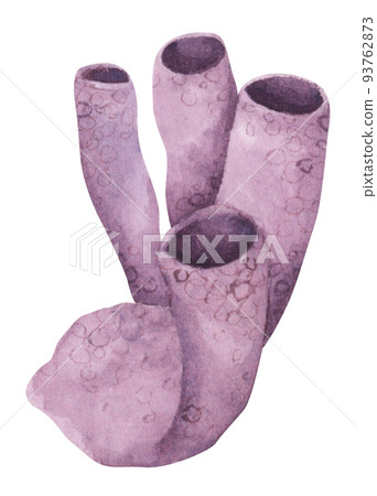 Seaweeds. Underwater ocean plants, sea coral elements. Watercolor illustration. 93762873