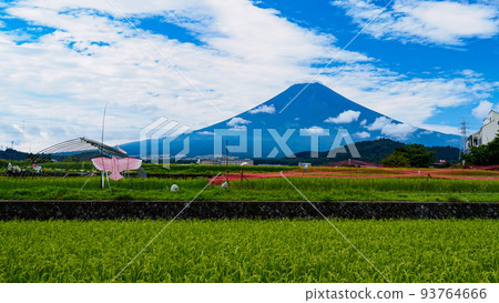 Mount Fuji Mount Fuji 93764666