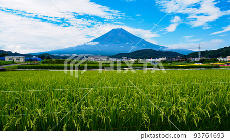 Mount Fuji  93764693