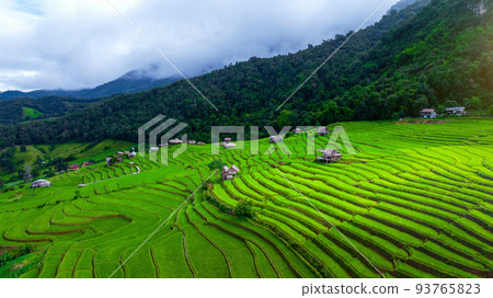 Aerial view of Rice terrace at Ban pa bong piang in Chiang mai, Thailand. Aerial view of Rice terrace at Ban pa bong piang in Chiang mai, Thailand. 93765823
