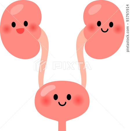 健康的腎臟和膀胱特徵 健康的腎臟和膀胱特徵 93765914