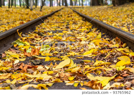 Rails in the city park with fallen yellow autumn leaves 93765962