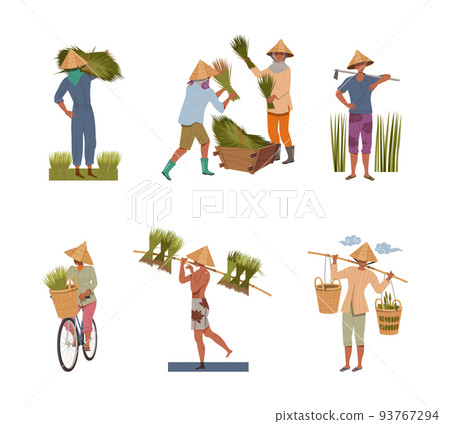 Asian Farmers in Straw Conical Hat Working on Field or Rice Paddy Vector Set Asian Farmers in Straw Conical Hat Working on Field or Rice Paddy Vector Set 93767294