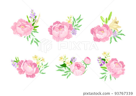 Floral Bouquet of Peonies and Garden Flowers Vector Set 93767339