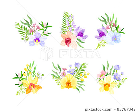 Fragrant Orchid Blooms with Labellum Arranged with Floral Branches Vector Set Fragrant Orchid Blooms with Labellum Arranged with Floral Branches Vector Set 93767342