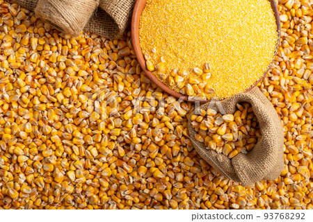 Yellow corn kernels with clay bowl in burlap sack flat lay 93768292