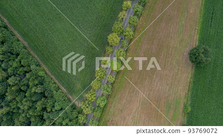 Aerial view drone shot of fresh green field in Spring near Turnhout by Antwerp, Belgium with road 93769072