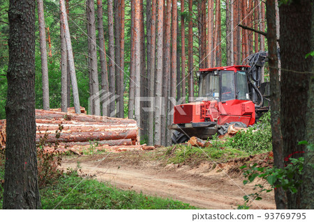 Red forest machine that clears trees in green summer forest standing near sandy road surrounded by growing tree trunks 93769795