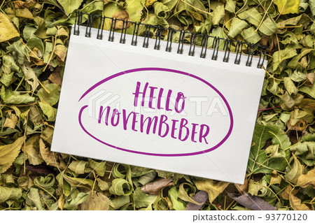 Hello November greeting note 93770120