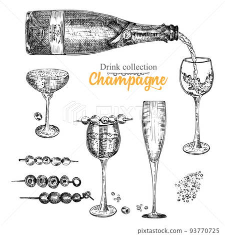 Hand-sketched champagne glass illustration Vector sketch of the popular -  stock vector 4693823 | Crushpixel