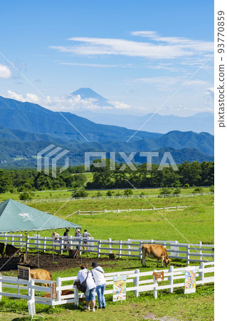 Landscape of Kiyosato plateau 93770859