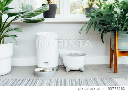 Automatic smart feeder gadgets with water fountain and dry food dispenser in cozy home interior. Home life with a pet. Healthy pet food diet concept. Selective focus, copy space. 93772262