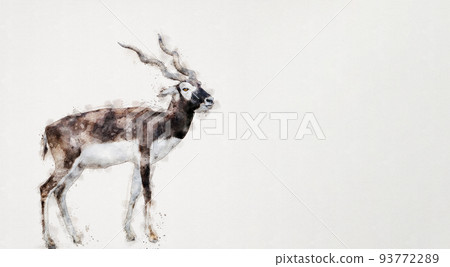 The Blackbuck deer watercolor style. Illustration. 93772289