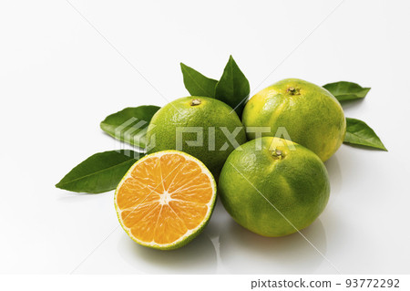 White-backed very early mandarin orange sliced into rounds White-backed very early mandarin orange sliced into rounds 93772292