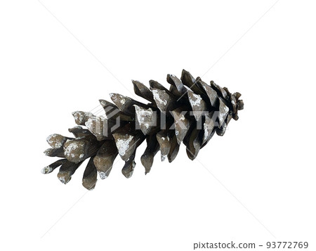 松果，室內裝飾物品 93772769