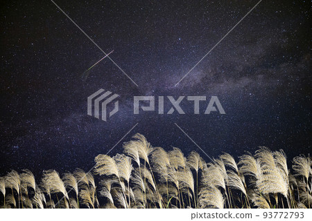 潘帕斯草、銀河系和流星 93772793