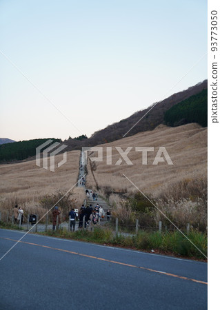 箱根仙石原：薄之原 93773050