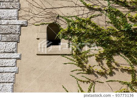 Stone wall with ivy and stained glass window of church. 93773136