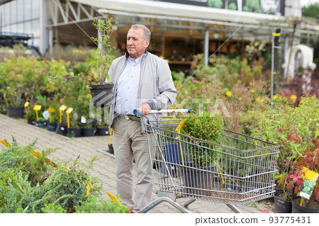 Man choosing seedlings in market 93775431