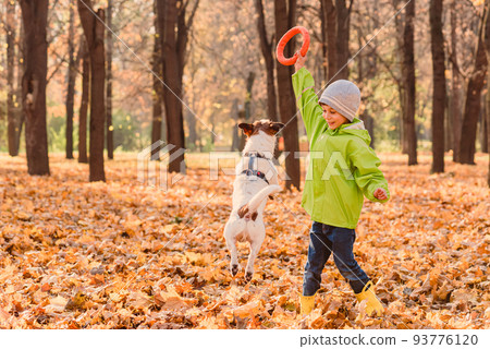 Kid boy playing with family pet dog in autumn park on bright sunny Fall day. 93776120