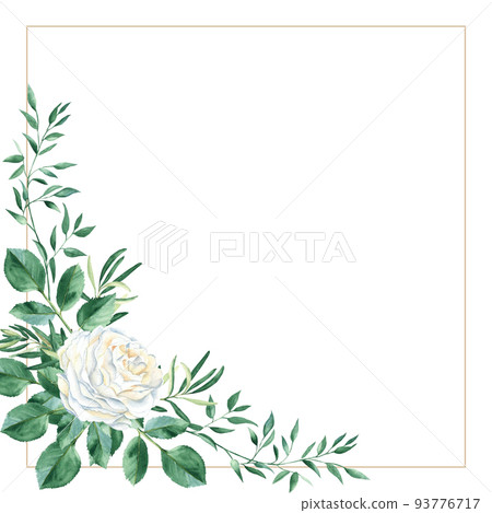 Greeting card with white rose and rustic greenery. Watercolor square frame. Hand drawn botanical illustration isolated on white background. Can be used as invitation card for wedding, birthday and 93776717