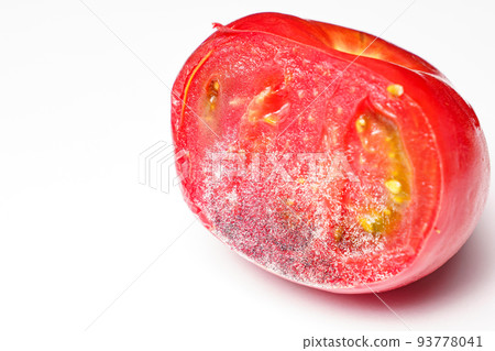 a piece of tomato covered with white and black mold on a white background a piece of tomato covered with white and black mold on a white background 93778041