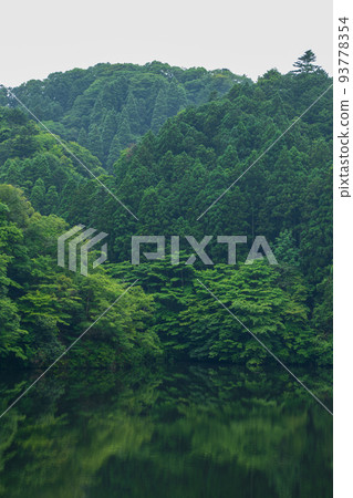 水面和森林 水面和森林 93778354