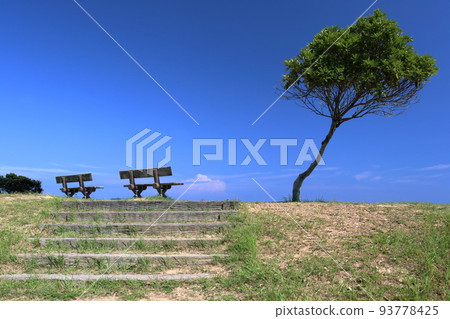 海景長椅,入野海岸之夏(高知縣黑潮町) 海景長椅,入野海岸之夏(高知縣黑潮町) 93778425
