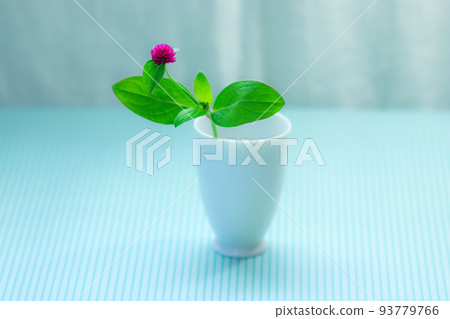 A brightly colored and cute crape myrtle on a light blue gingham check sheet A brightly colored and cute crape myrtle on a light blue gingham check sheet 93779766