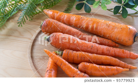 Ginseng Ginseng 93779925