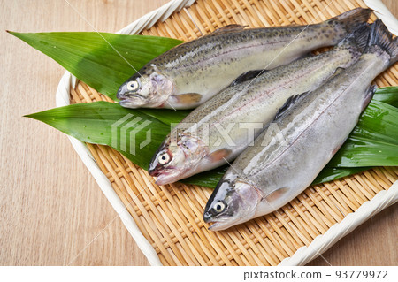 濾鍋上的虹鱒魚 93779972