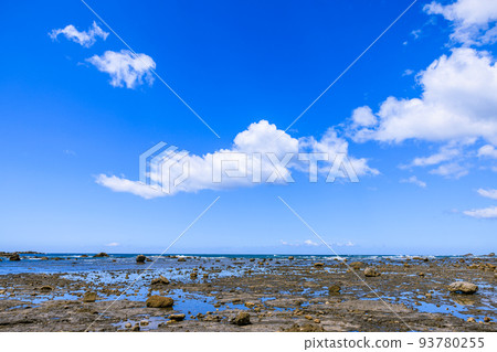 The coast near Futagoshima, Kushimoto Town, Wakayama Prefecture The coast near Futagoshima, Kushimoto Town, Wakayama Prefecture 93780255