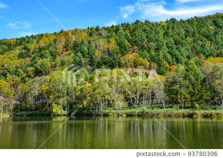 志賀高原 Kidoike 秋葉 93780306