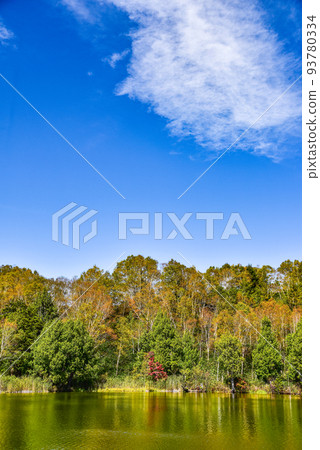 Shiga Kogen Kidoike Autumn Leaves 93780334