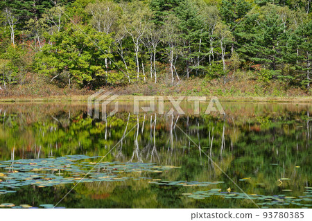 Autumn leaves of Shika Kogen Kazunuma 93780385