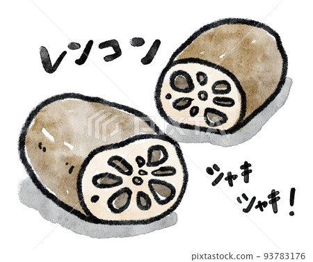 圖片信風蓮藕水彩插圖 93783176